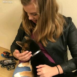 Meet your Posher, Avery